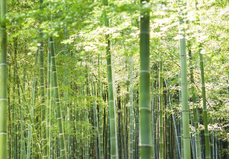 館内メンテナンス作業のお知らせ